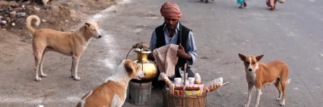 Dev_TempProfile banner