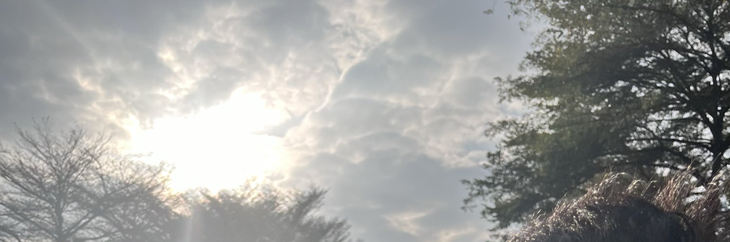 I3325G's profile banner image