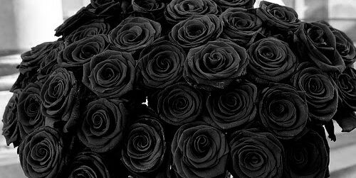 d_a55's profile banner image
