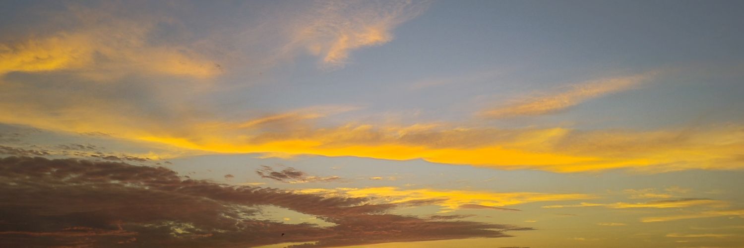 ᴀʙʙʏ 🦎 banner