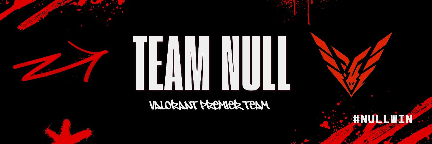 Team Null banner