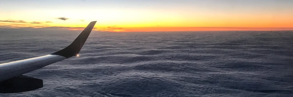 freidog's profile banner image