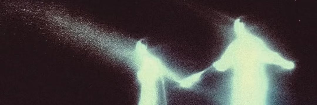 yoli banner