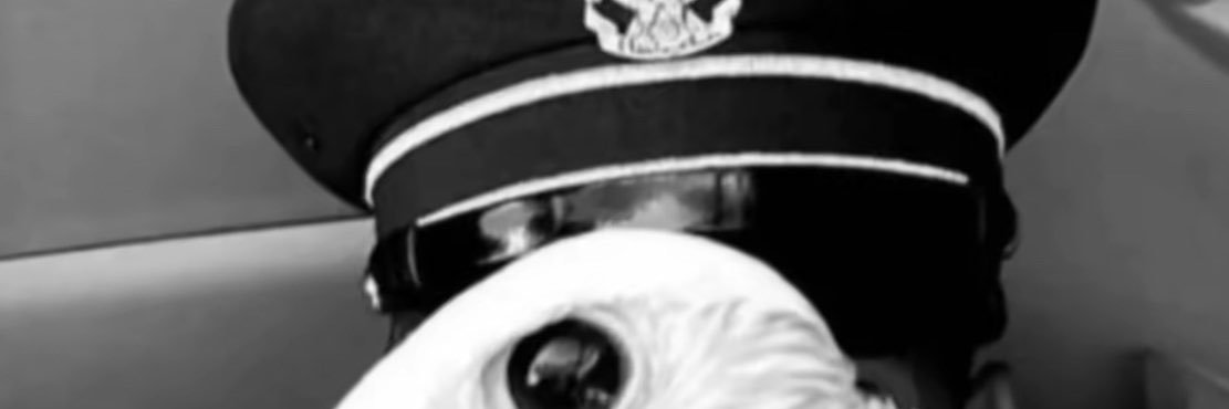 Gfsp416's profile banner image