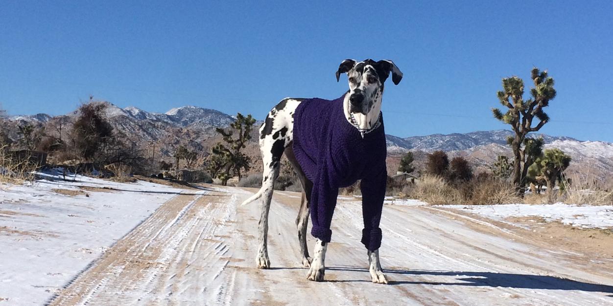 Jason Thompson banner