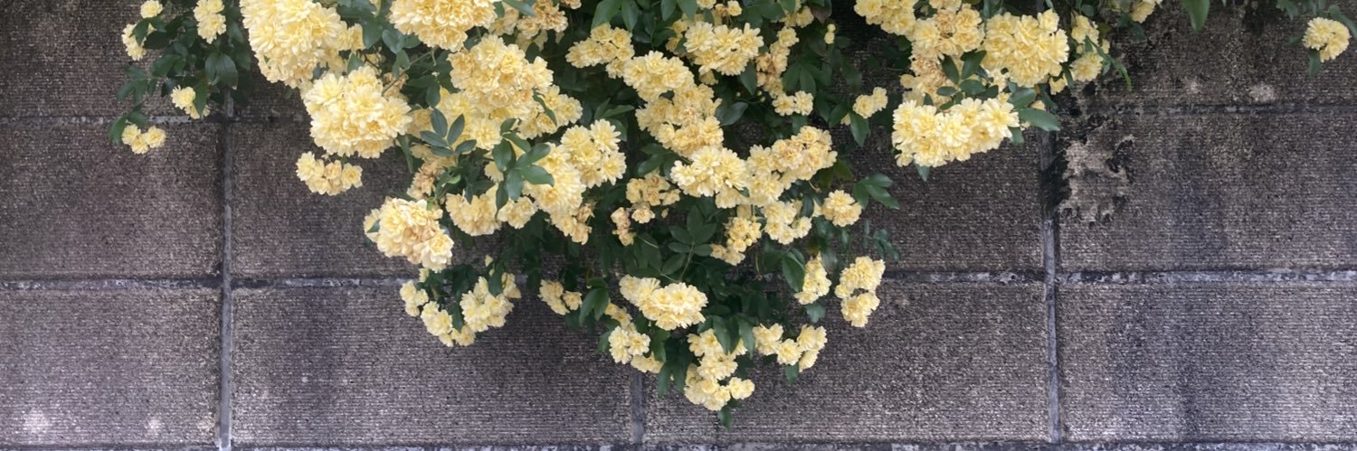 さなだねずみ banner