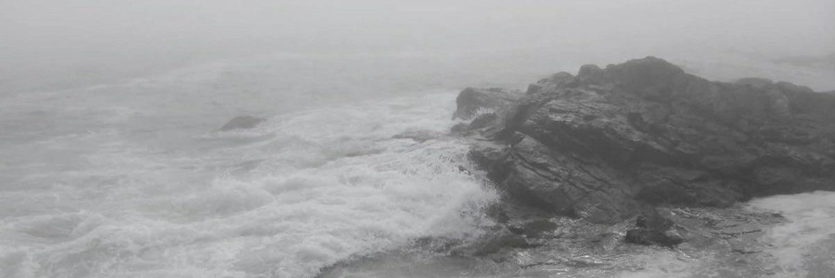 esanmiau's profile banner image