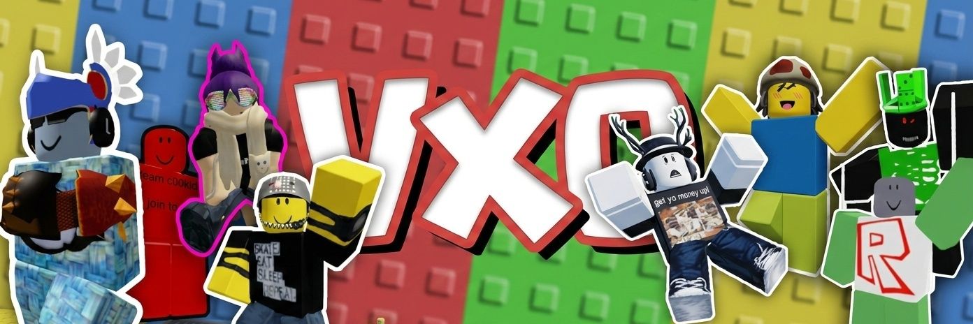 Vxo banner