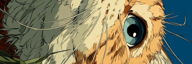 tibula banner