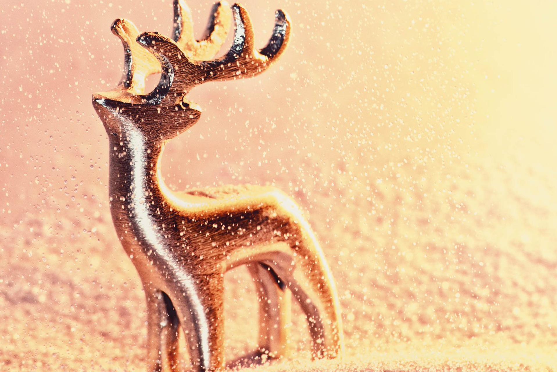 rischca's profile banner image