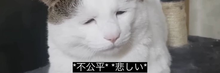 2_ver126431's profile banner image