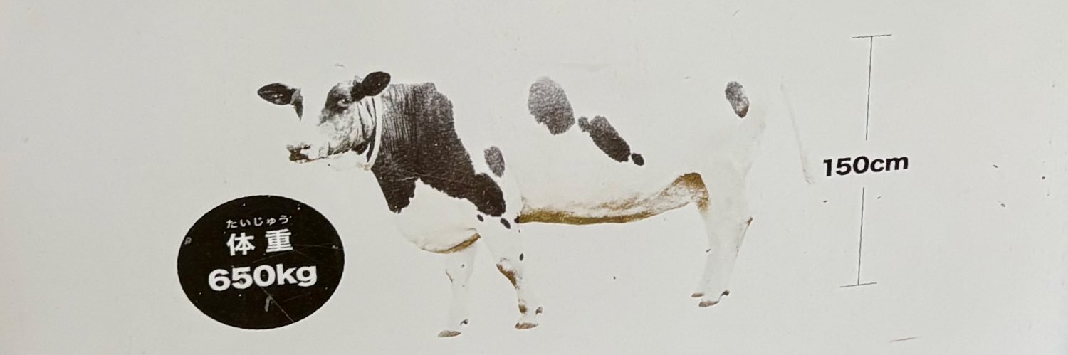🪄‎ 𝓡𝓲𝓷🤍 banner