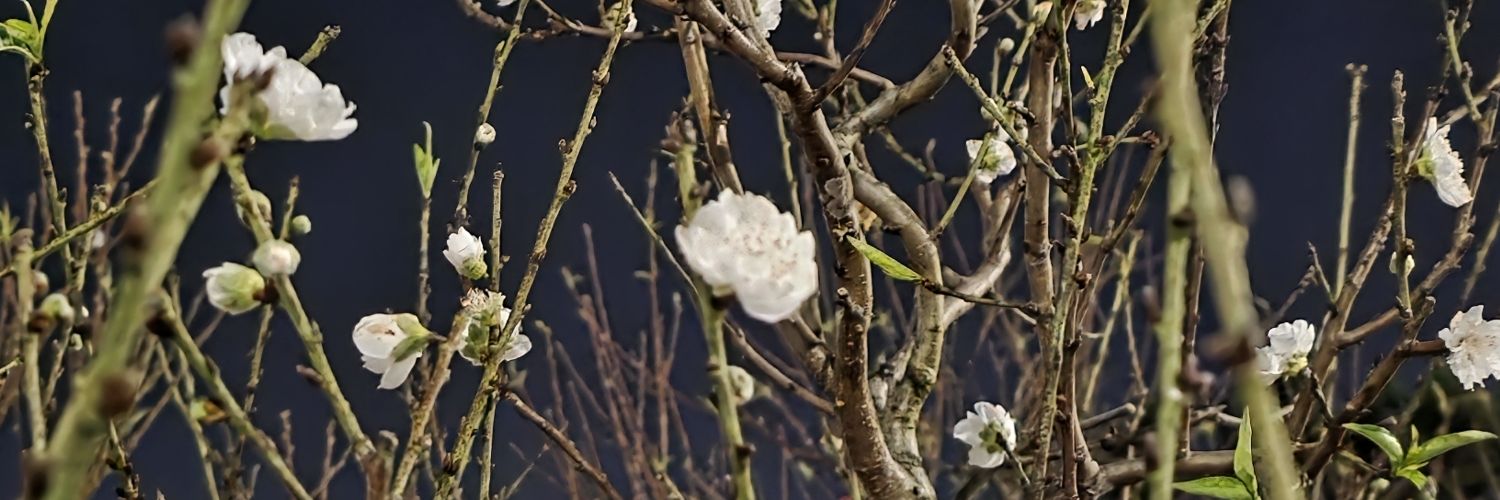 @betterlatethannever banner