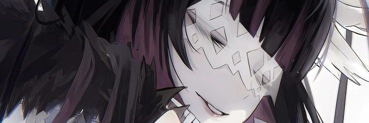 eirve1l's profile banner image
