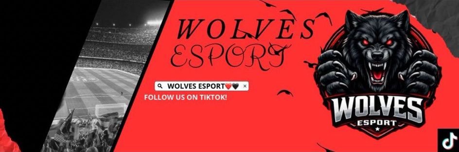 WOLVES ESPORT banner
