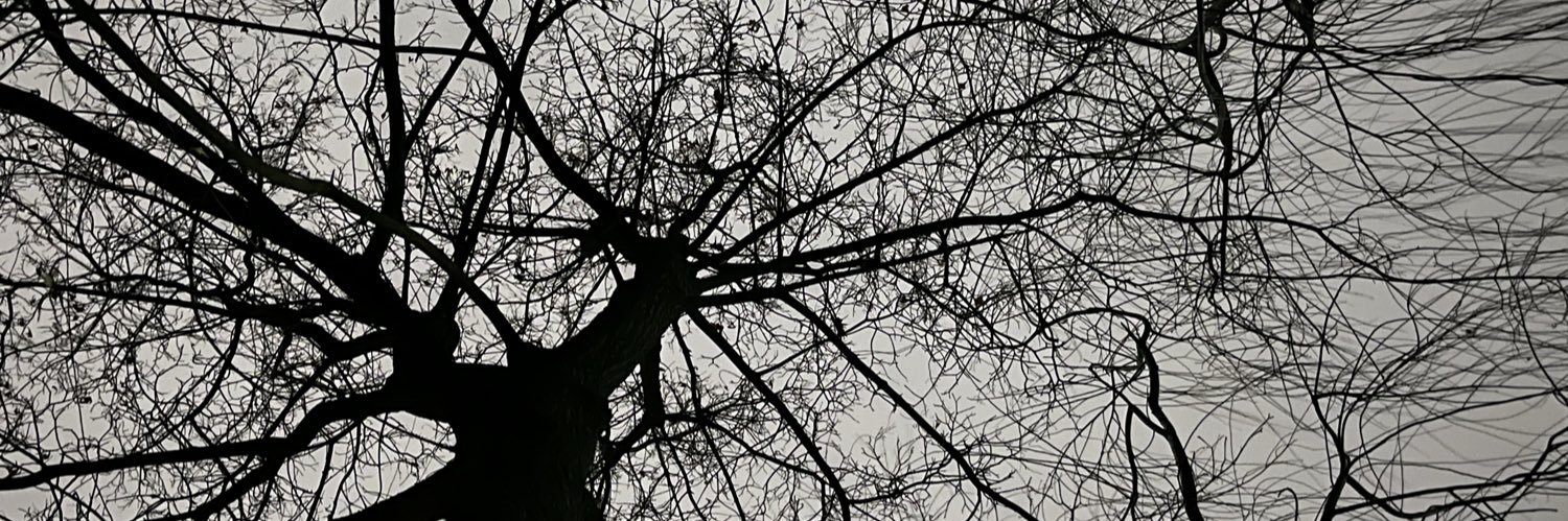 h_ing29316's profile banner image