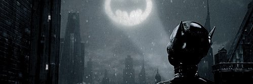 ray banner