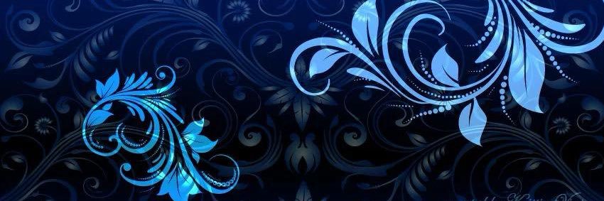 amy banner