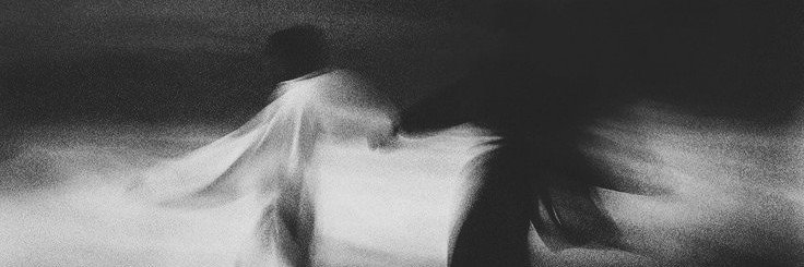 sean banner