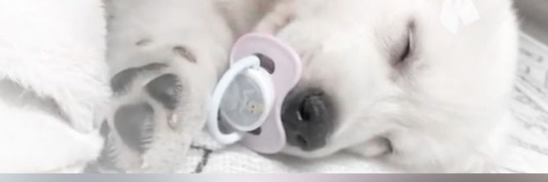 oakleynox's profile banner image