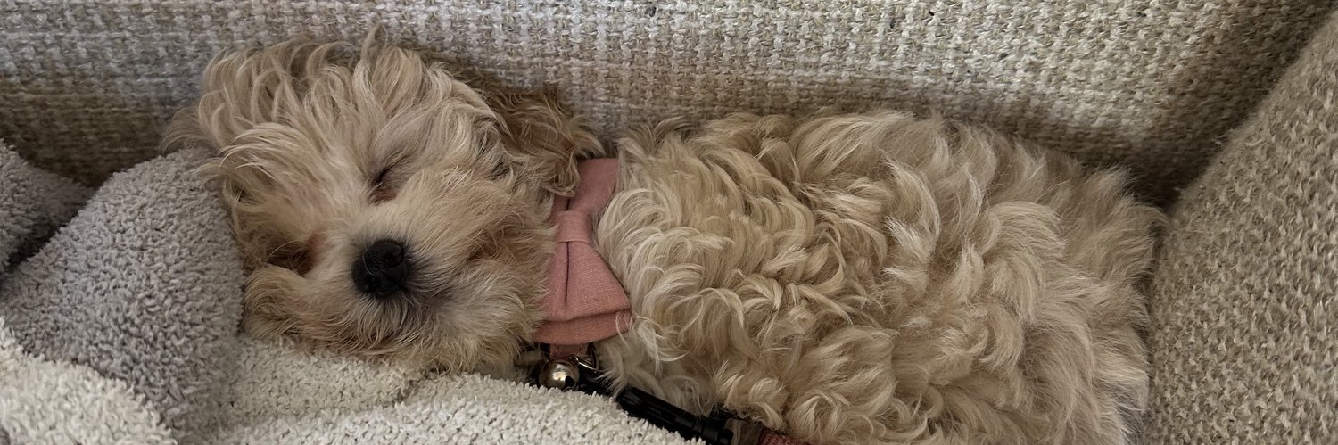 Ryan Svendsen banner