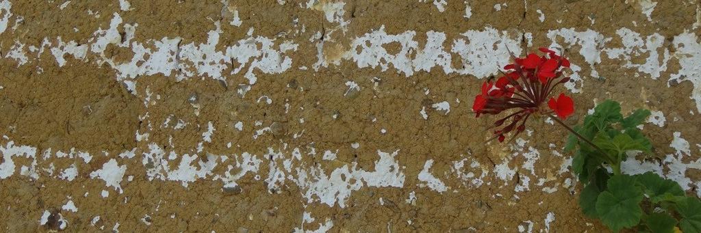 AnaGines's profile banner image