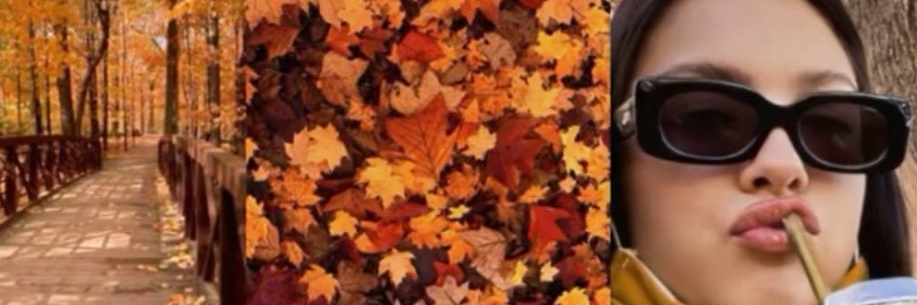 miarvms's profile banner image