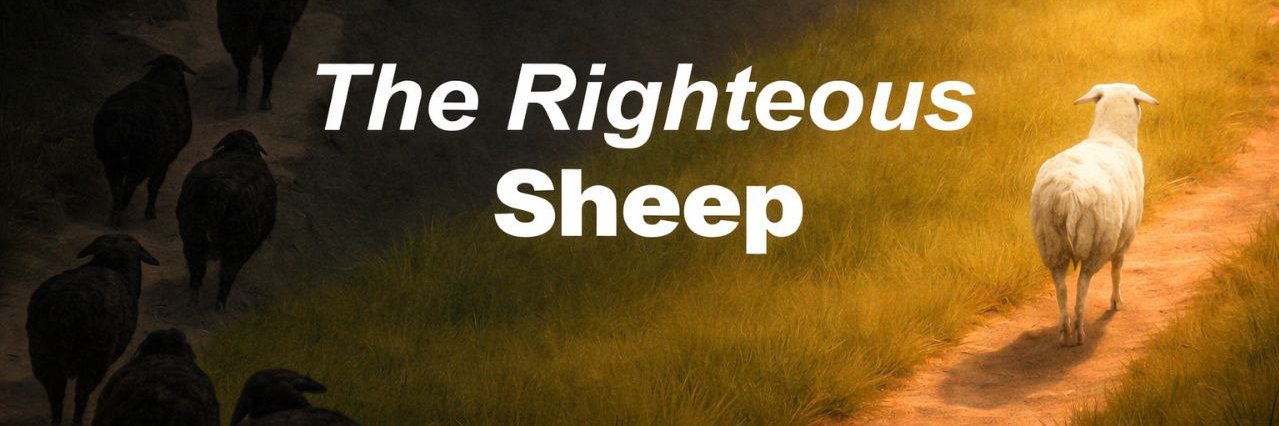 The Righteous Sheep 🐑 banner