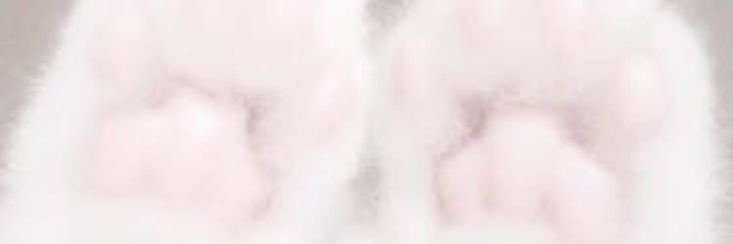 qrvu0's profile banner image