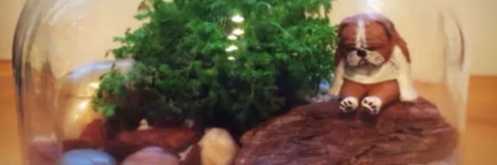 psychew1's profile banner image
