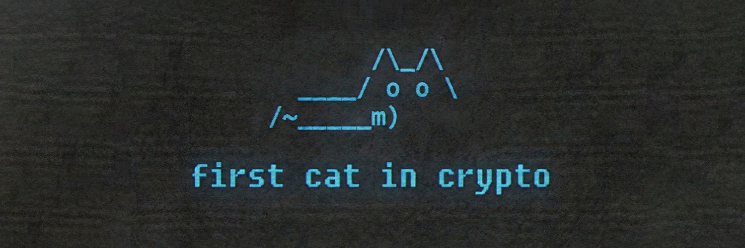 bitcattt's profile banner image