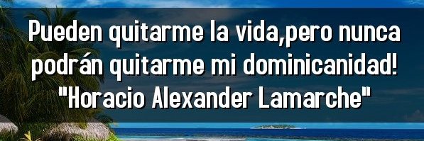 Alexander Lamarche banner