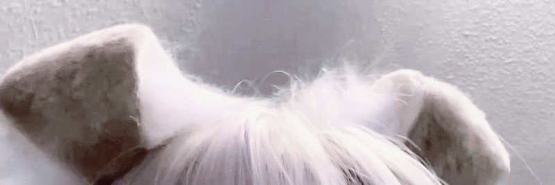 cmnyv's profile banner image