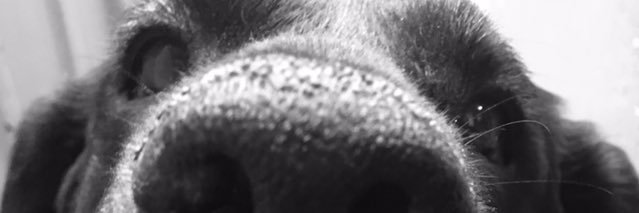 aridai's profile banner image