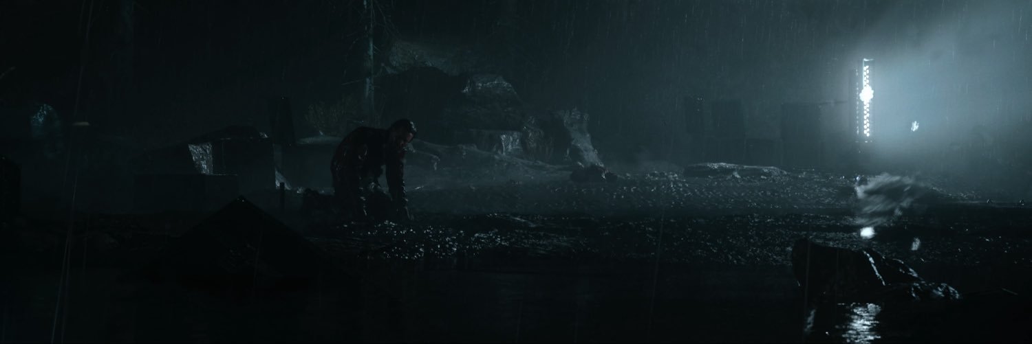 nobleorchi's profile banner image