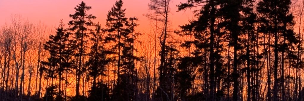 colleen_p's profile banner image
