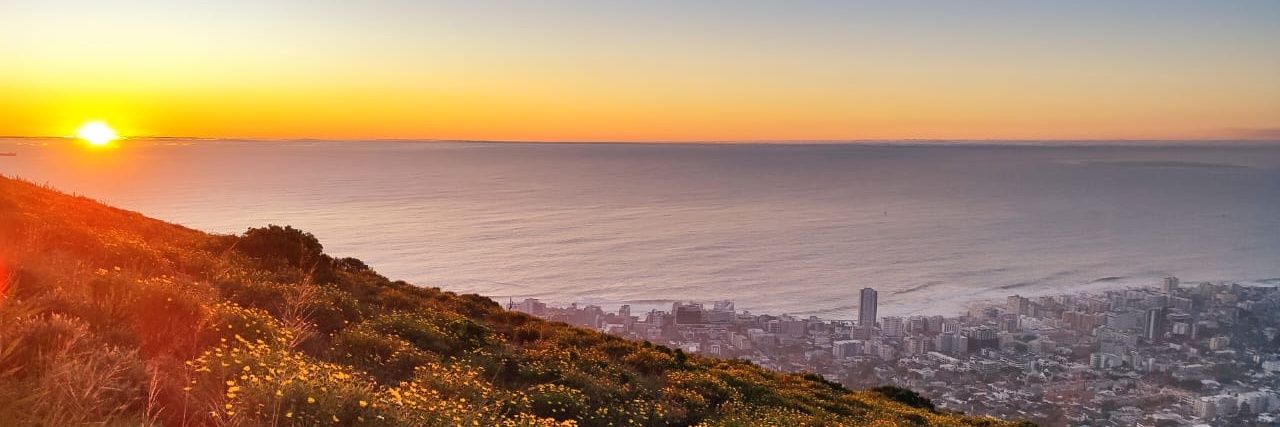 Wiedaad Slemming banner