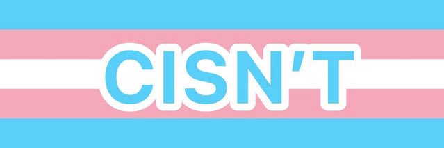 fleshp3t || he/him 🏳️‍⚧️ || 🪓🪲 banner