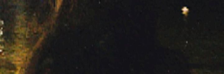 leo baqia banner