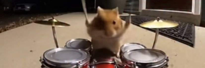 tuidelogy's profile banner image