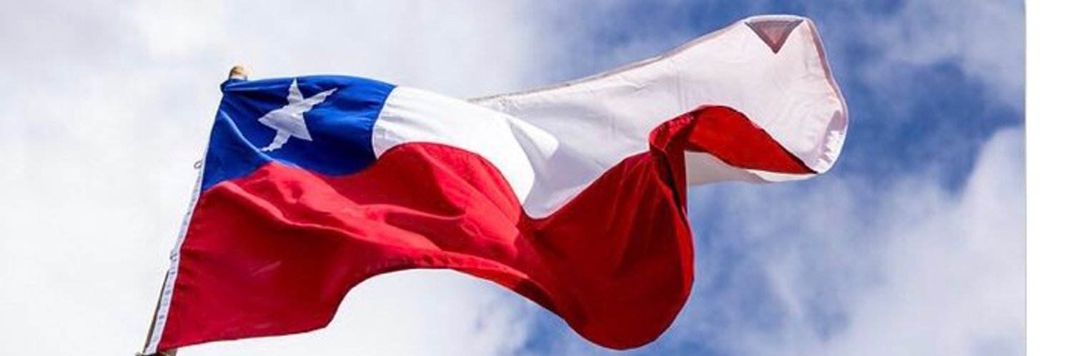 mardechile1's profile banner image
