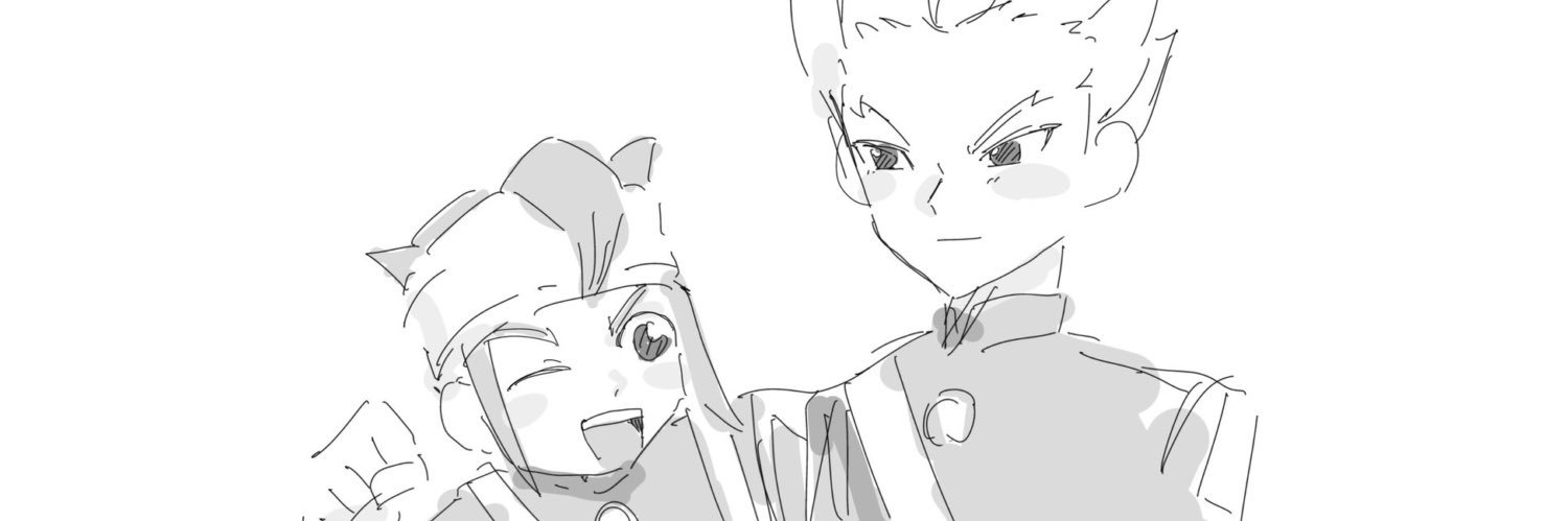 NGO_INZM's profile banner image