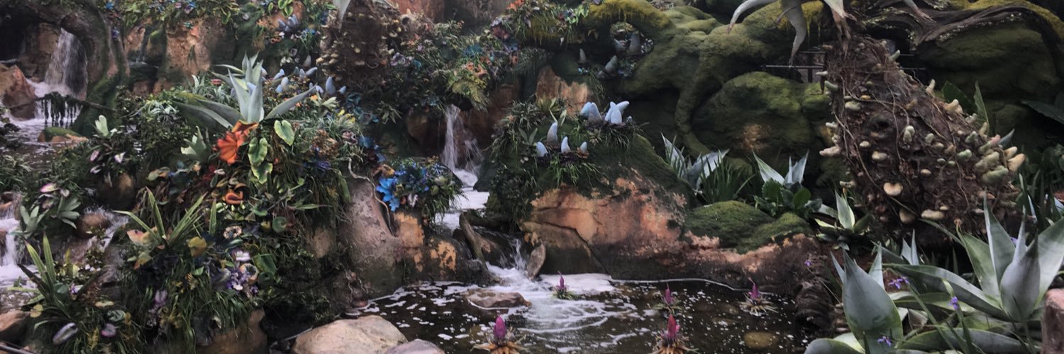 ABrookeBrock's profile banner image