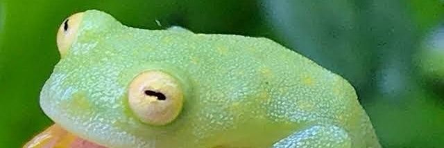 ぱとさぶろ〜 banner