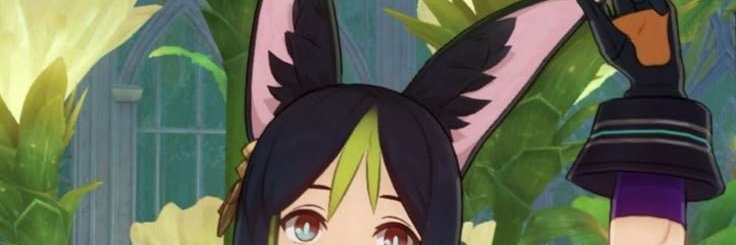 rae banner