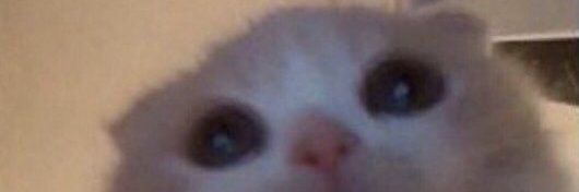 Victor Buencamino y Abreu banner