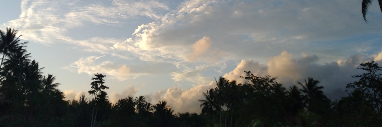 chiks_zl's profile banner image