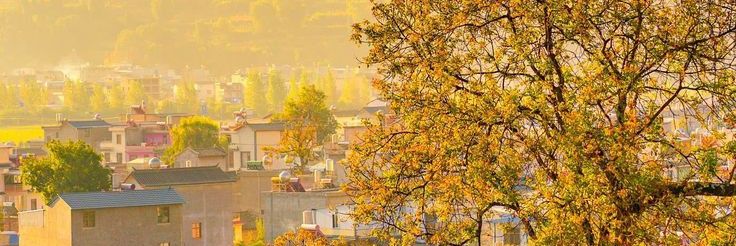 linh banner