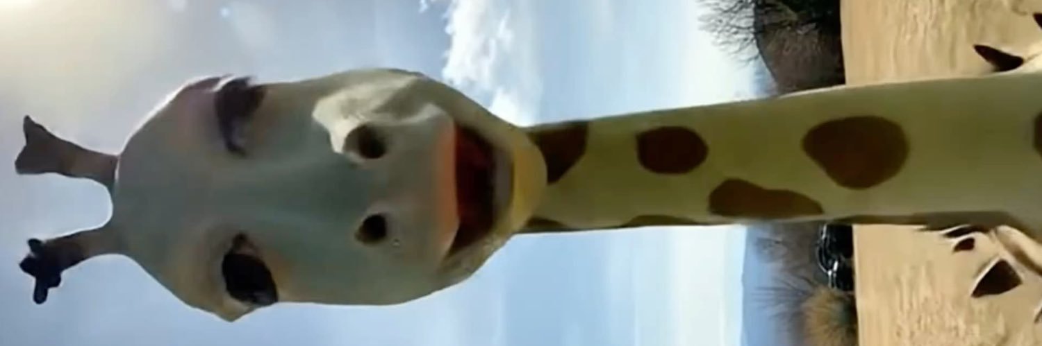 5aauo's profile banner image