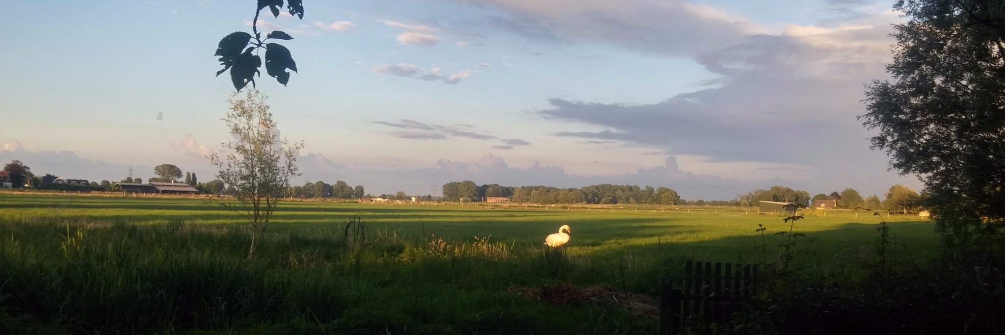 sannestweet's profile banner image